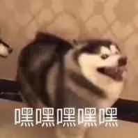 狗子：嘿嘿嘿嘿