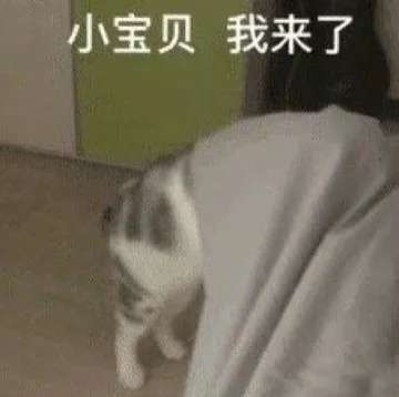 小宝贝我来了