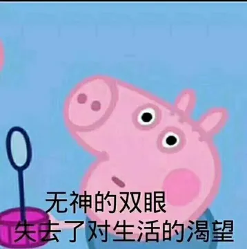 佩奇VI