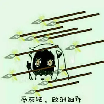 受死吧.欧洲细作