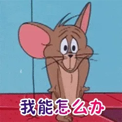 猫和老鼠00288-我能怎么办我也很无奈我也很绝望