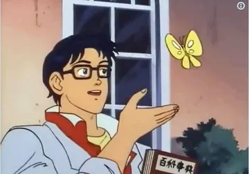 is this a pigeon