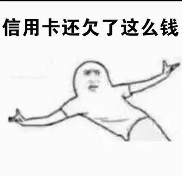 2015，悲伤这么大...信用卡还欠了这么钱