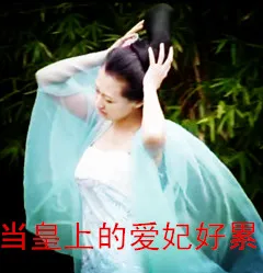 当皇上的爱妃好累