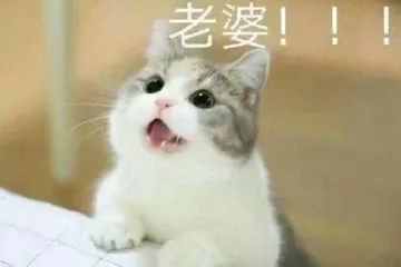 老婆
