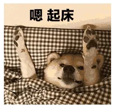 嗯，起床