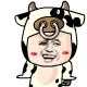 小奶牛