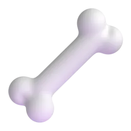 Bone