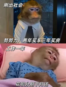 吗喽打工表情包