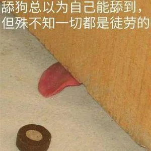 舔狗总以为自己能舔到.但殊不知一切都是徒劳的