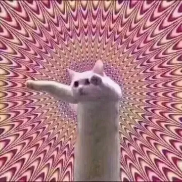 小猫