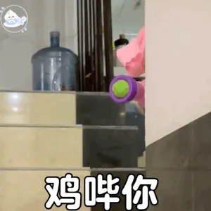 鸡哔你