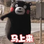 熊本熊00013-马上来