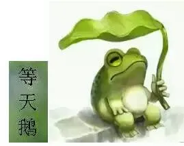 等天鹅(旅行青蛙)