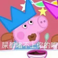 佩奇VI