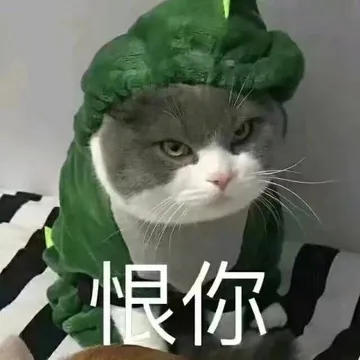 恨你