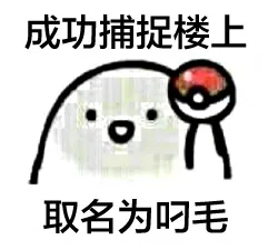 成功捕捉楼上，取名为叼毛