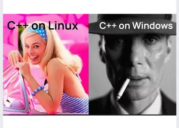 Linux Vs Windows: The C++ Emotional Rollercoaster