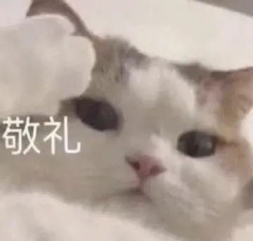 各种花式装逼系列表情包第086张