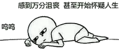 感到万分沮丧，甚至开始怀疑人生呜呜