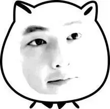 白色小猫脸明星脸