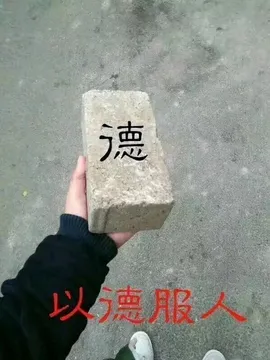 以德服人（板砖） - 近期斗图表情包精选-2018-8-24