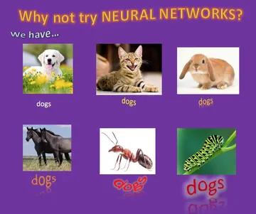 Why not try NEURAL NETWORKS?