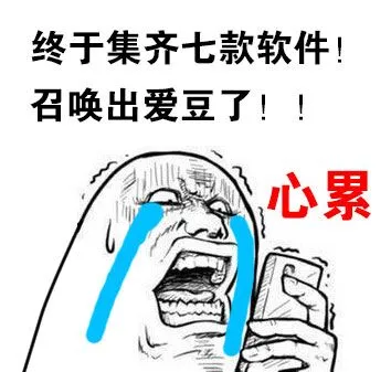 终于集齐七款软件!召唤出爱豆了!心累
