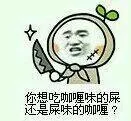你想吃咖喱味的屎，还是屎味的咖喱