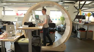 startup programmer