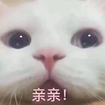 亲亲!