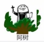 阿树