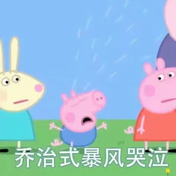 佩奇IV