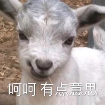 呵呵有点意思