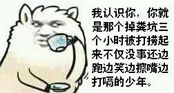 我认识你，你就是那个掉粪坑三个小时被打捞起来不仅没事还边跑边擦嘴边打嗝的少年。