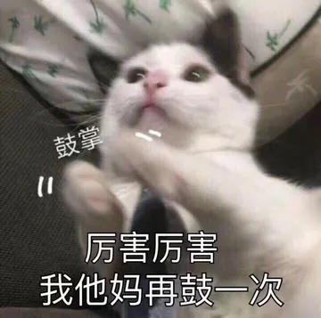 [doge]