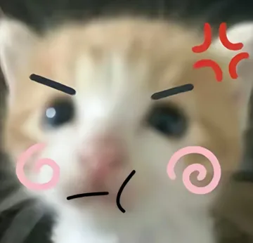 死对头小猫P图表情包