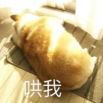 各种花式装逼系列表情包第067张