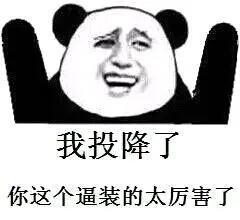 我投降了，你这个逼装的太厉害了
