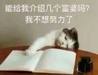 能给我介绍几个富婆吗?我不想努力了