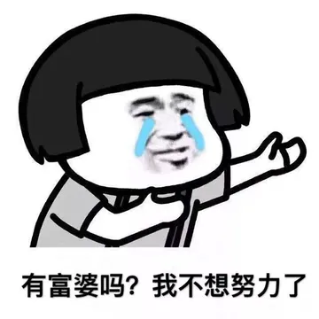 有富婆吗?我不想努力了