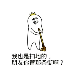 我也是扫地的朋友，你管那条街啊？