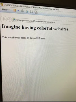 My friend asked me how to stylize his website
