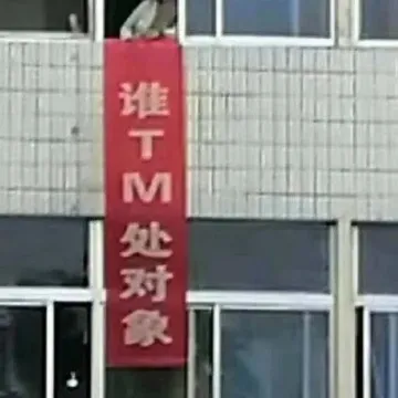谁 TM 要处对象