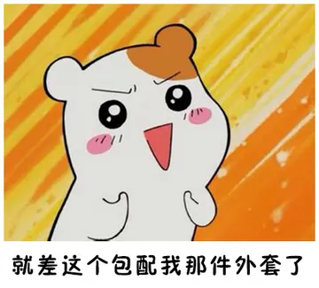 就差这个包配我那件外套了