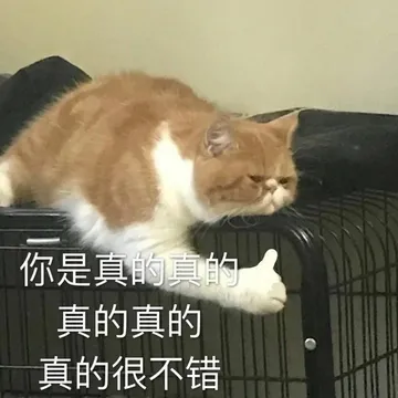 你是真的真的真的真的真的很不错