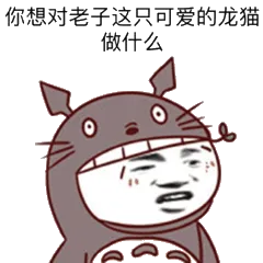 你想对老子这只可爱的龙猫做什么
