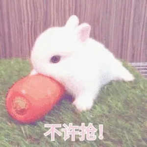 不许抢