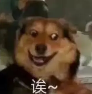 狗子：诶？