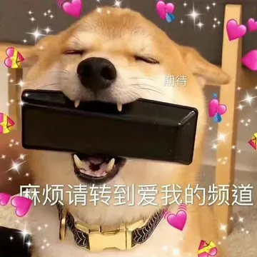 期待麻烦请转到爱我的频道